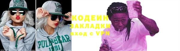 хмурый Бородино