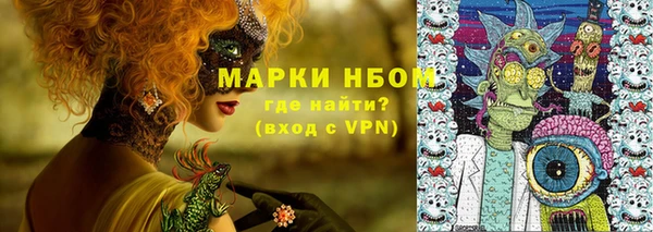 хмурый Бородино