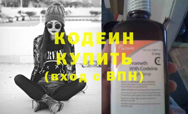 хмурый Бородино