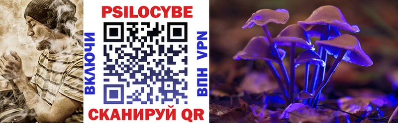 mega сайт  Кострома  Галлюциногенные грибы Cubensis 